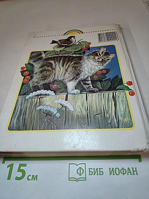 Родничок. Книга для внеклассного чтения в 1 классе