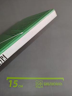 Литература 10 класс. Учебник для общеобразовательных учреждений. В двух частях. Часть 2