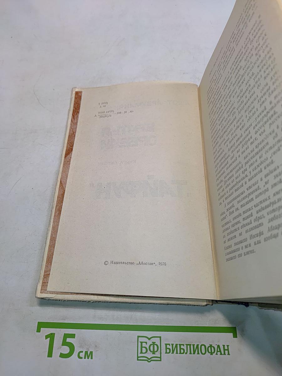 Братья Орбели. Книга первая. Тайфун