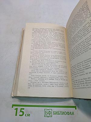 Братья Орбели. Книга первая. Тайфун