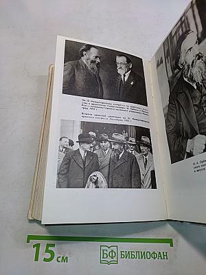 Братья Орбели. Книга первая. Тайфун