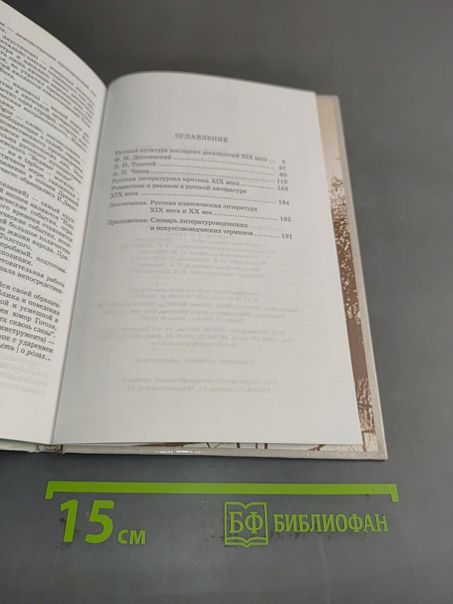 Русская литература. XIX век. 10 класс. Учебник. Часть 2