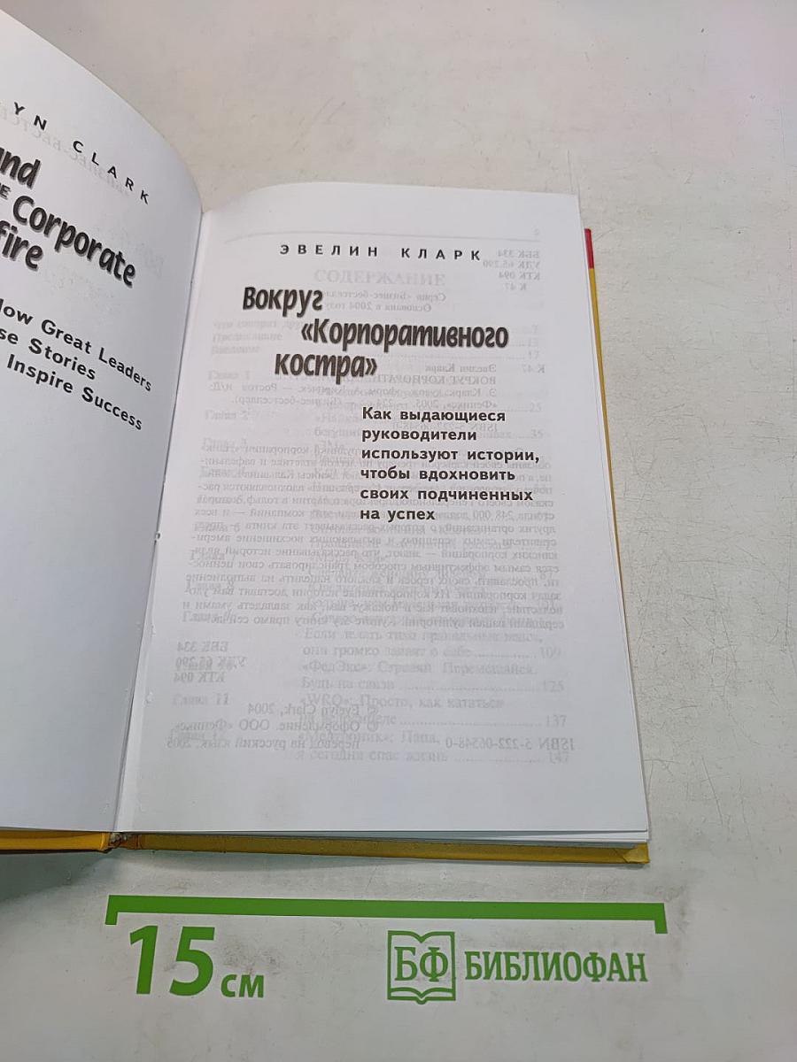 Вокруг корпоративного костра