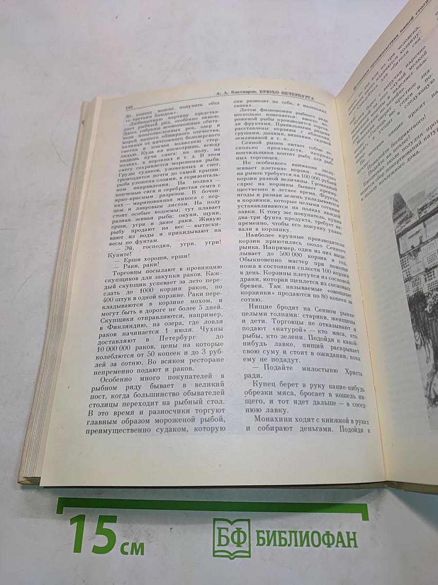 Брюхо Петербурга: очерки столичной жизни