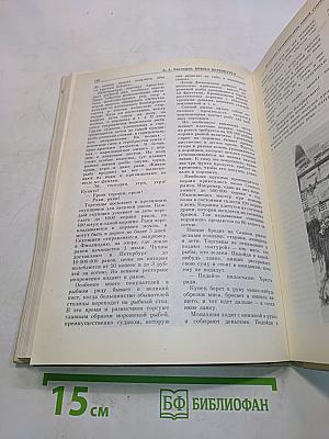 Брюхо Петербурга: очерки столичной жизни