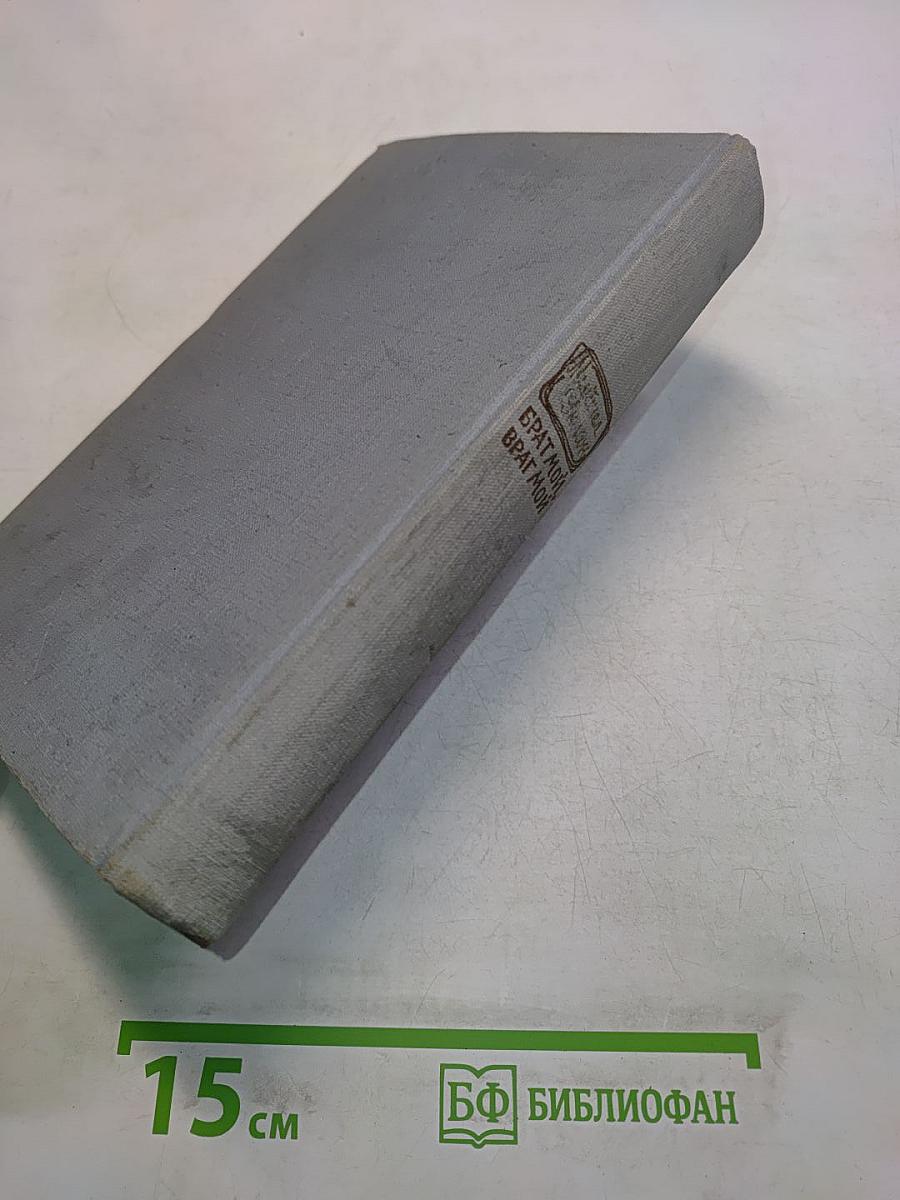Брат мой, враг мой. Книга первая