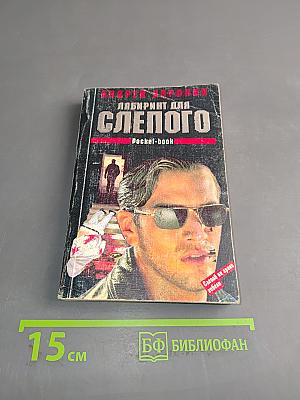 Лабиринт для слепого