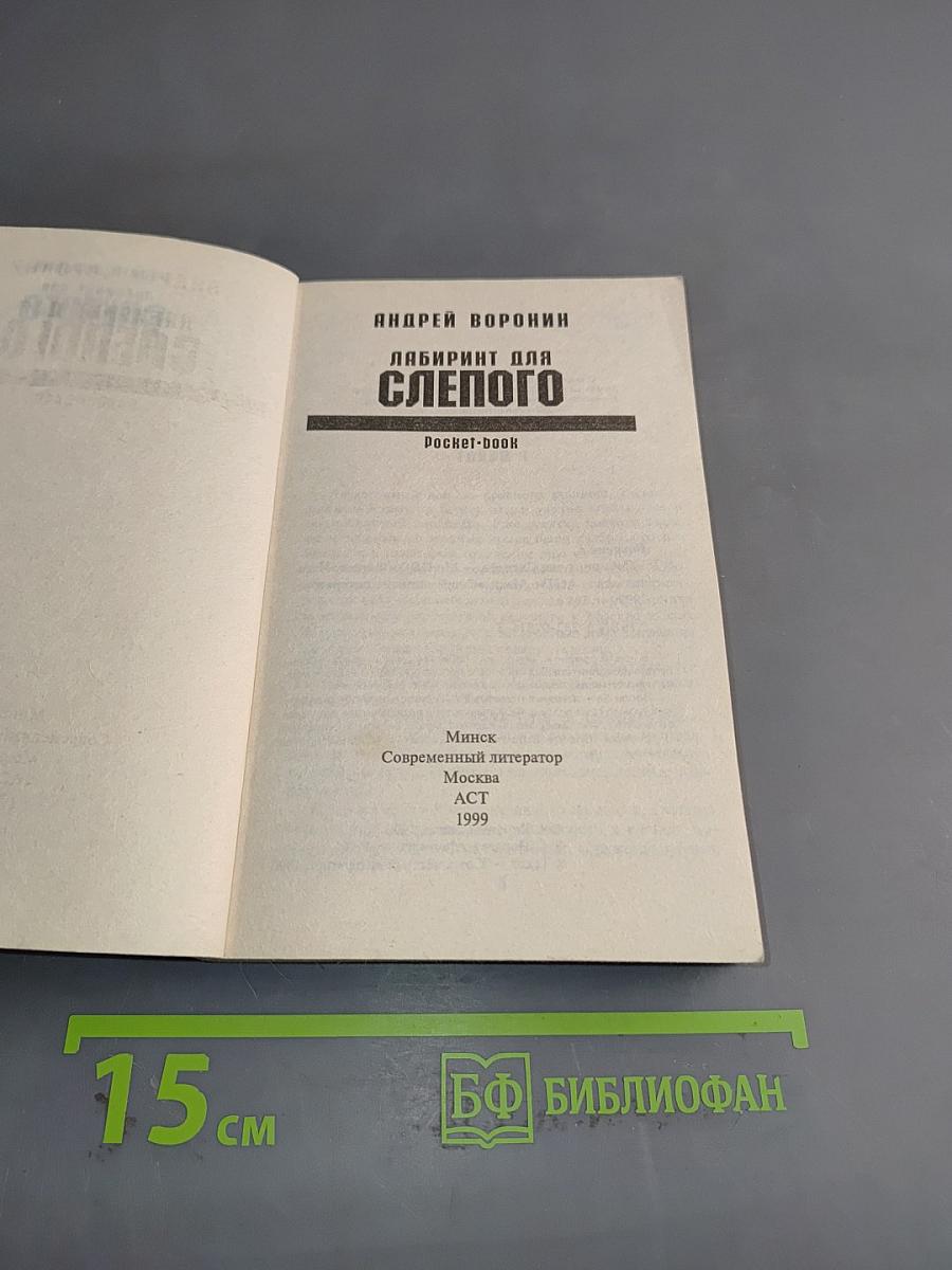 Лабиринт для слепого