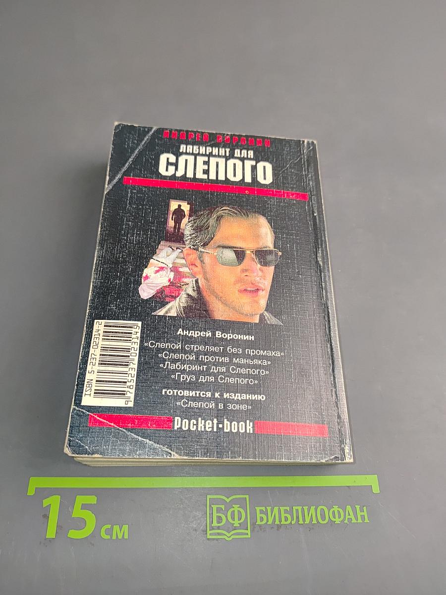 Лабиринт для слепого