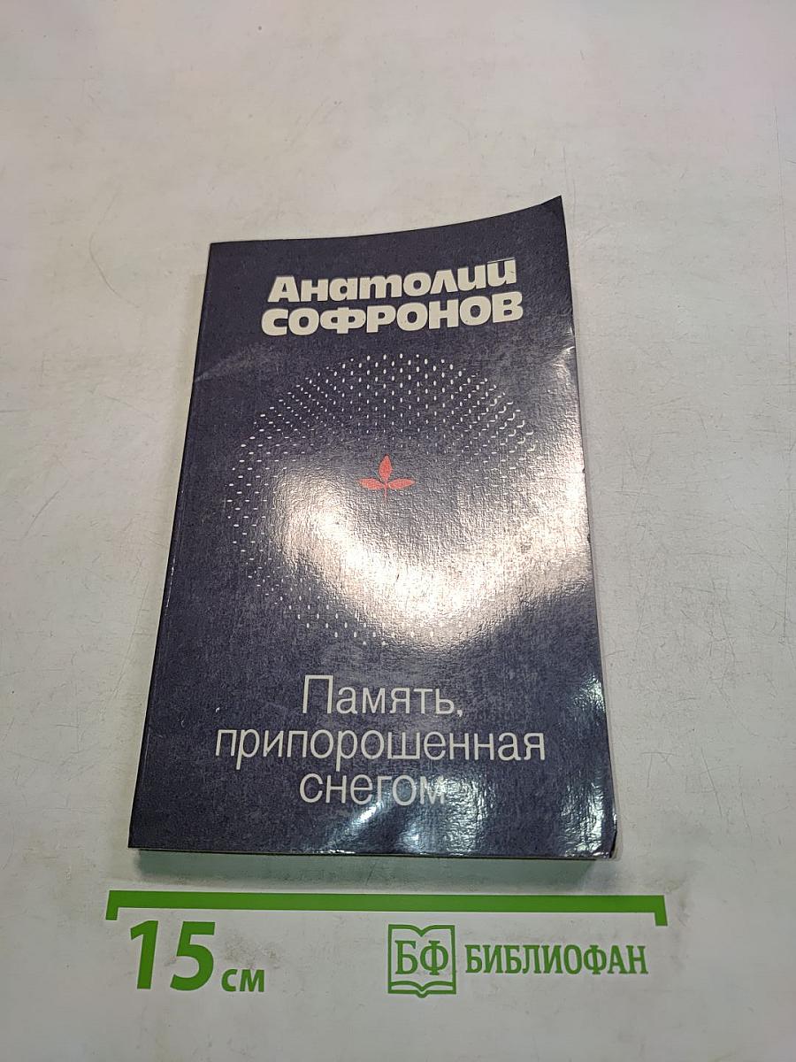 Память, припорошенная снегом