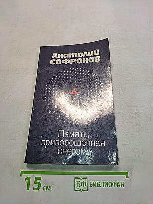 Память, припорошенная снегом
