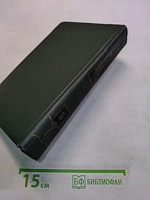 Собрание сочинений. Том пятнадцатый. Жизнь Дэвида Копперфильда, рассказанная им самим