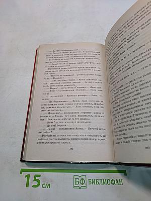 Победитель драконов. Пасынок судьбы