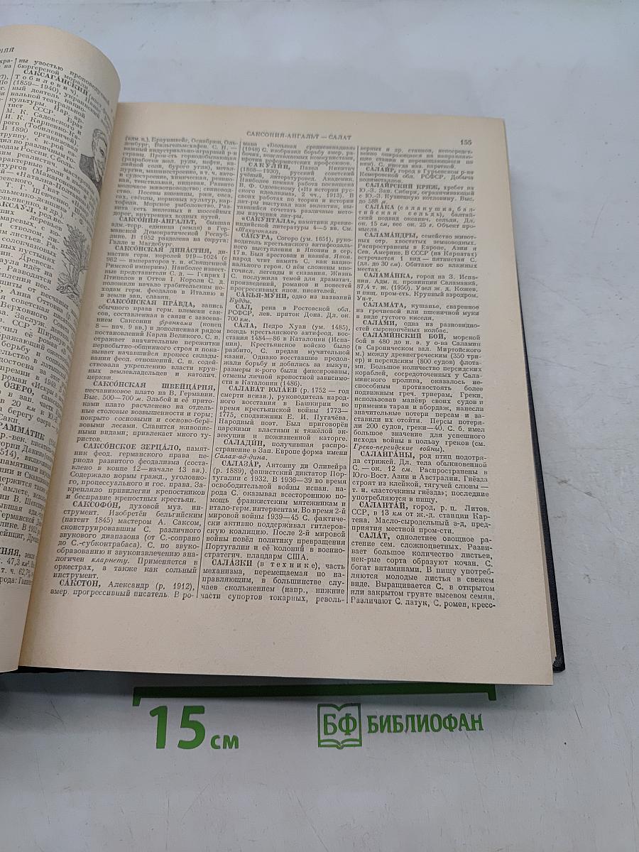 Энциклопедический словарь. Том 3. Пращур — Яя
