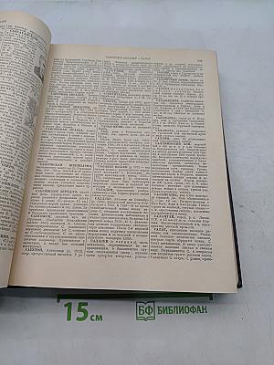 Энциклопедический словарь. Том 3. Пращур — Яя