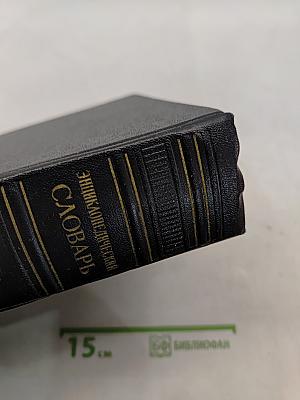 Энциклопедический словарь. Том 3. Пращур — Яя