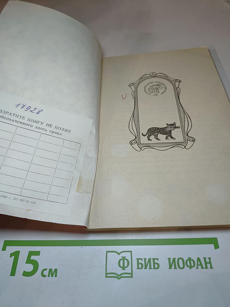 Карлсон, который живёт на крыше, опять прилетел