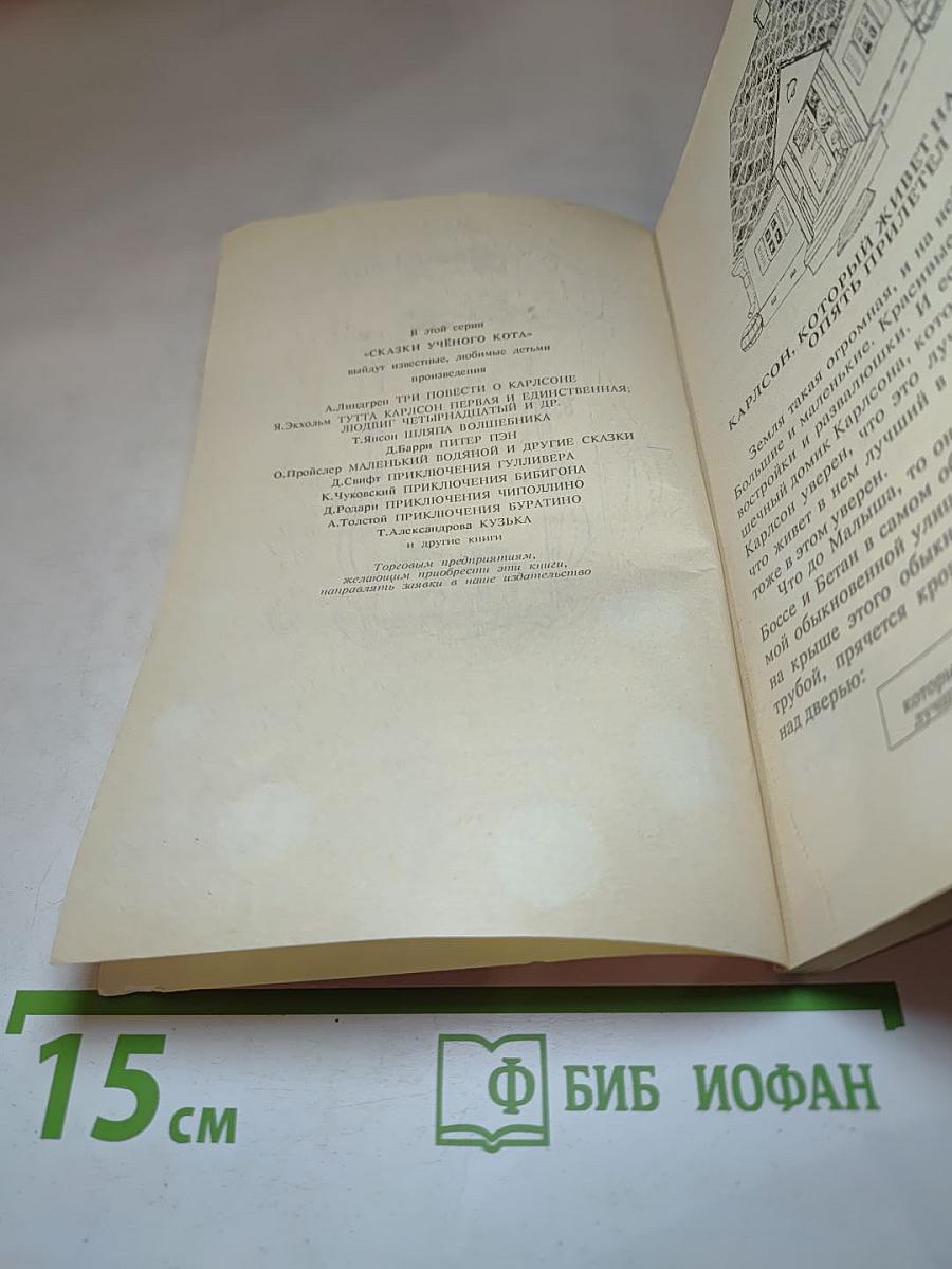Карлсон, который живёт на крыше, опять прилетел