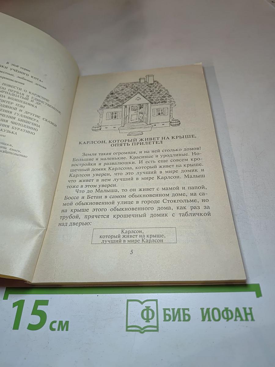 Карлсон, который живёт на крыше, опять прилетел