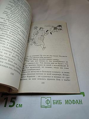 Карлсон, который живёт на крыше, опять прилетел