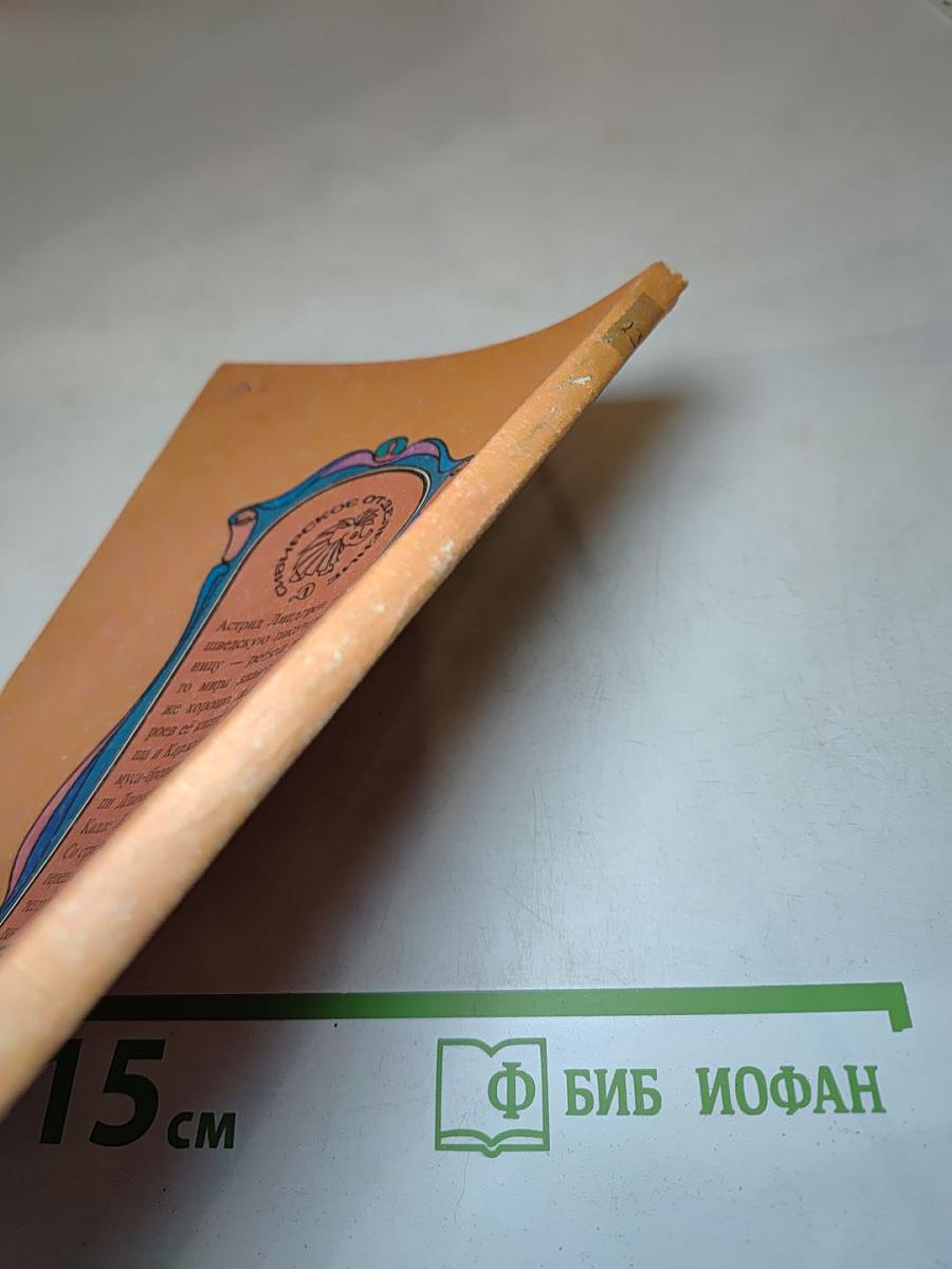 Карлсон, который живёт на крыше, опять прилетел