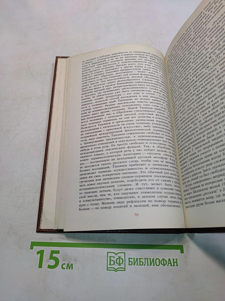 Новое зрение. Книга о Юрии Тынянове