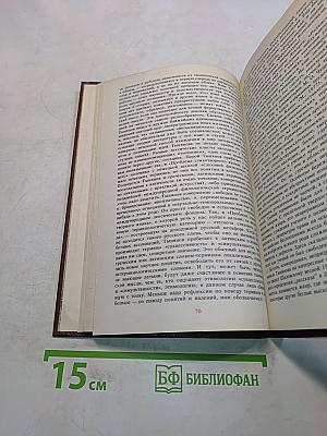 Новое зрение. Книга о Юрии Тынянове
