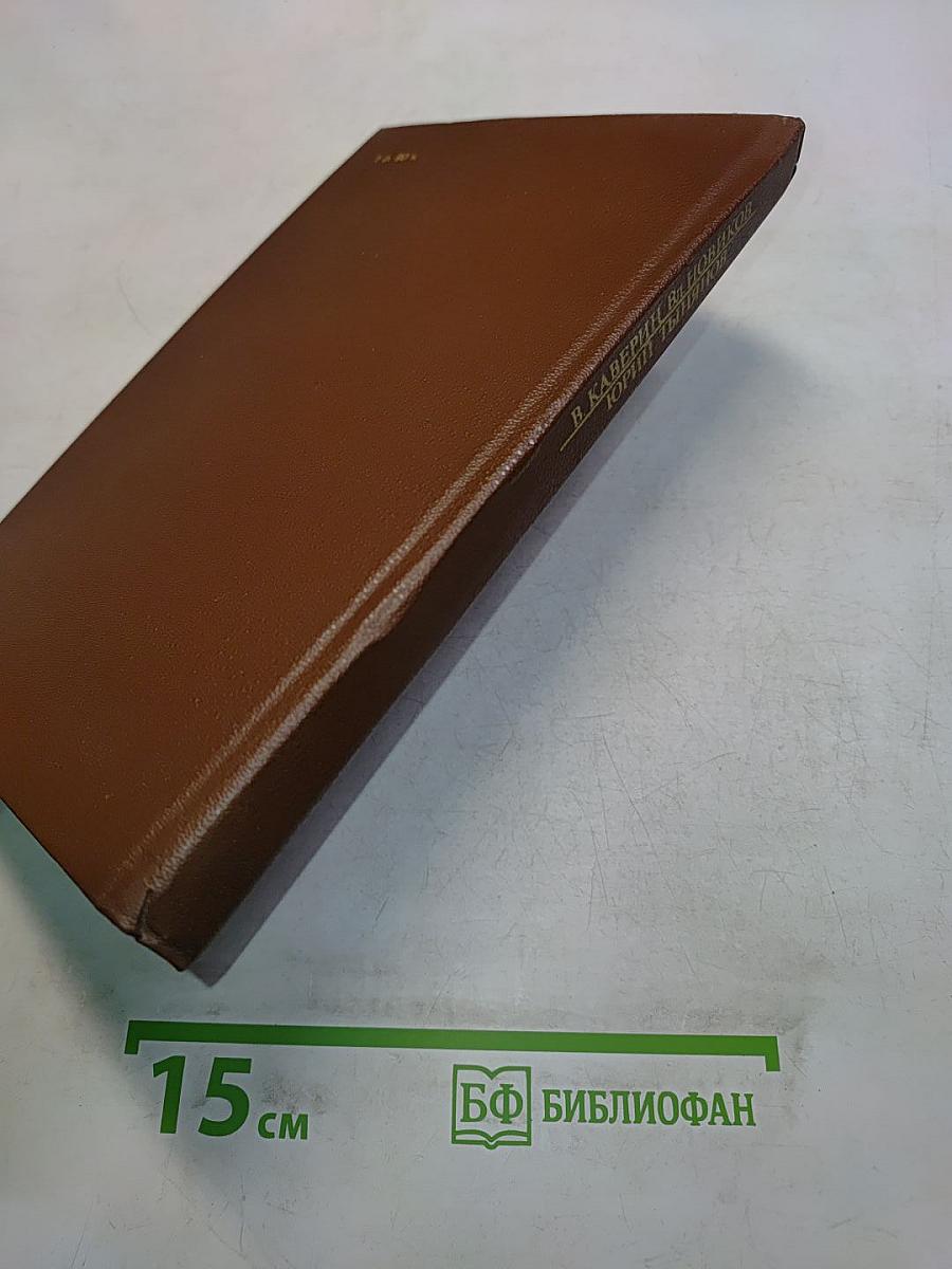Новое зрение. Книга о Юрии Тынянове