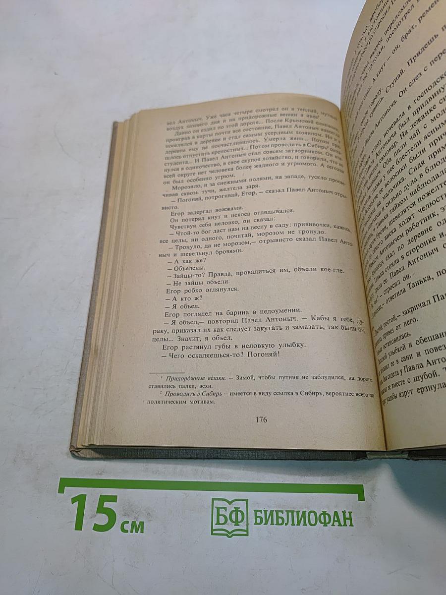 В мире русской литературы. Книга для внеклассного чтения. 6 класс