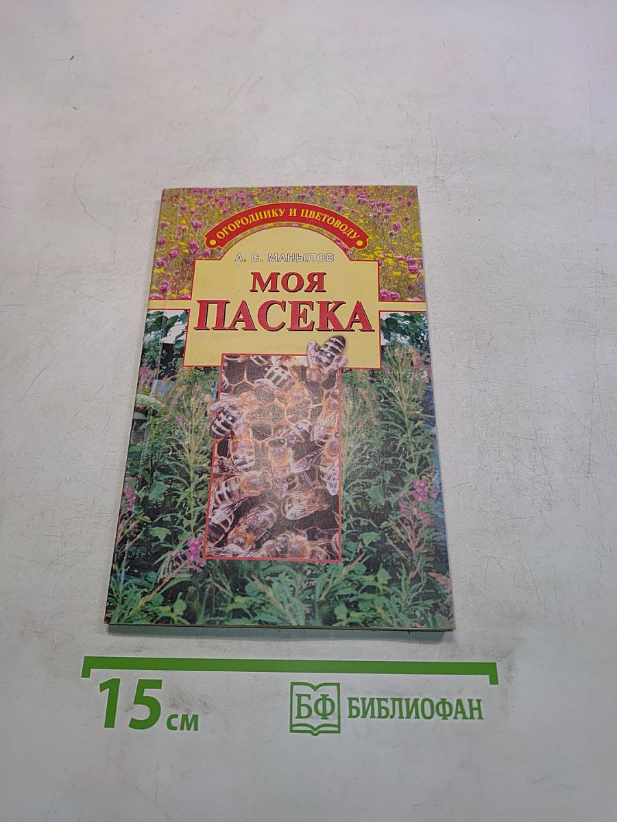 Моя пасека