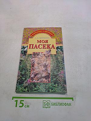 Моя пасека