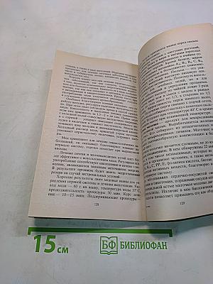 Моя пасека
