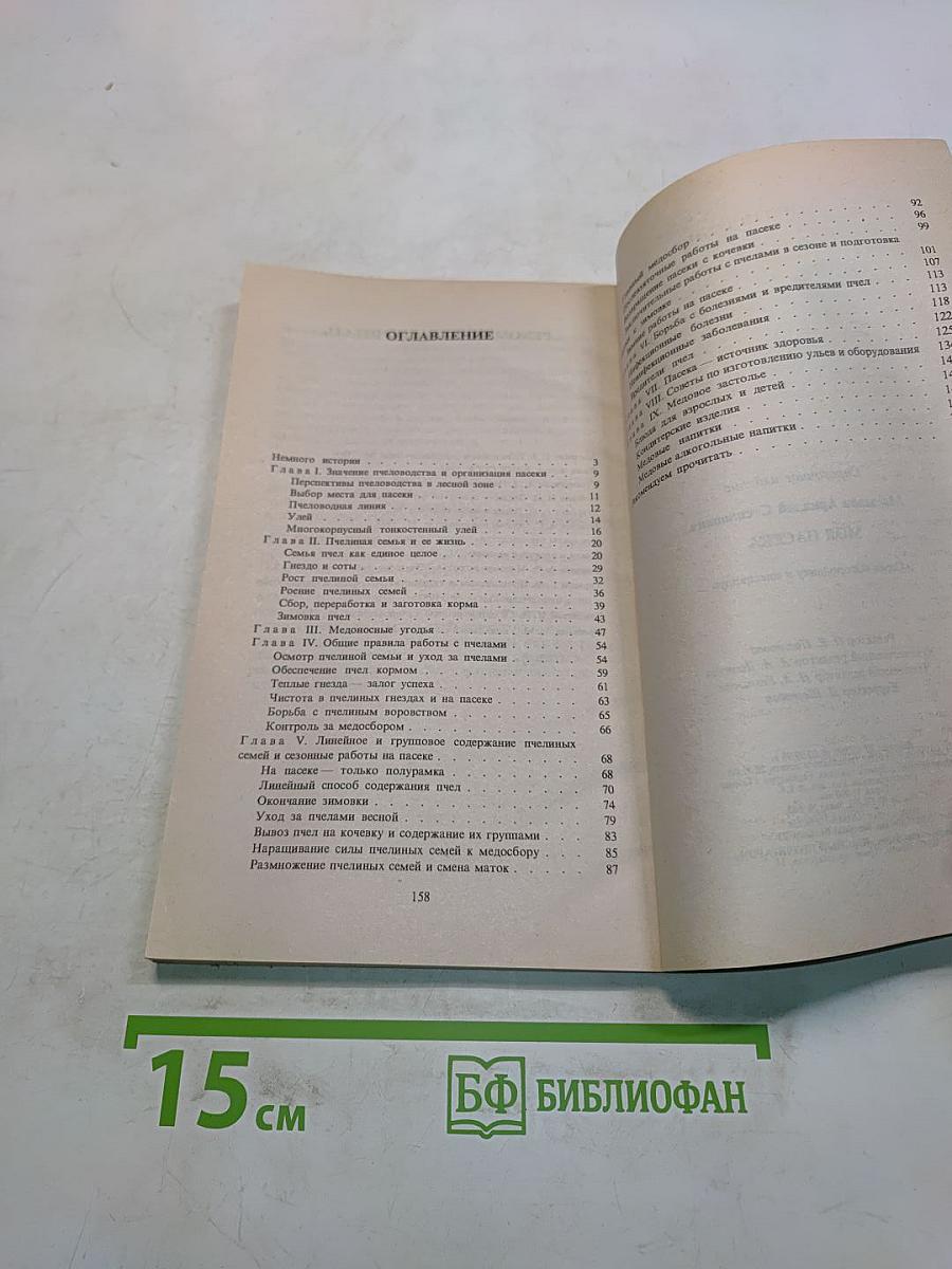Моя пасека