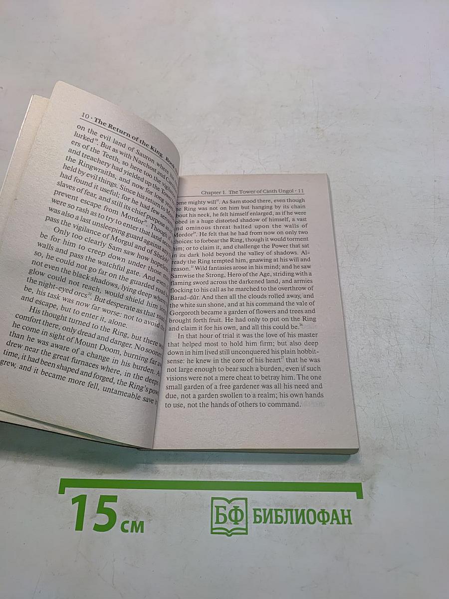 Властелин колец. Возвращение короля. Книга 6. Том первый
