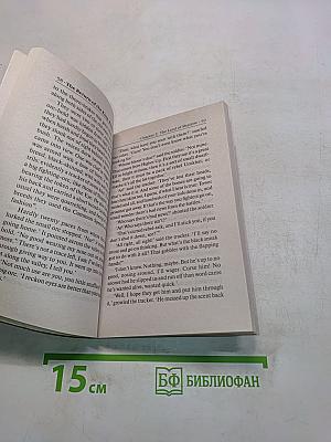 Властелин колец. Возвращение короля. Книга 6. Том первый