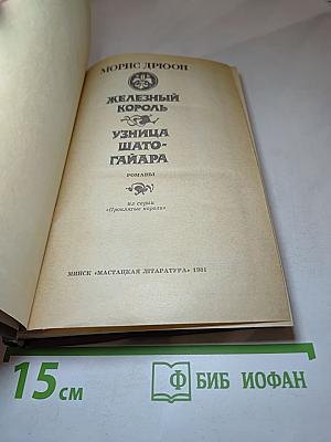 Железный Король. Узница Шато-Гайара