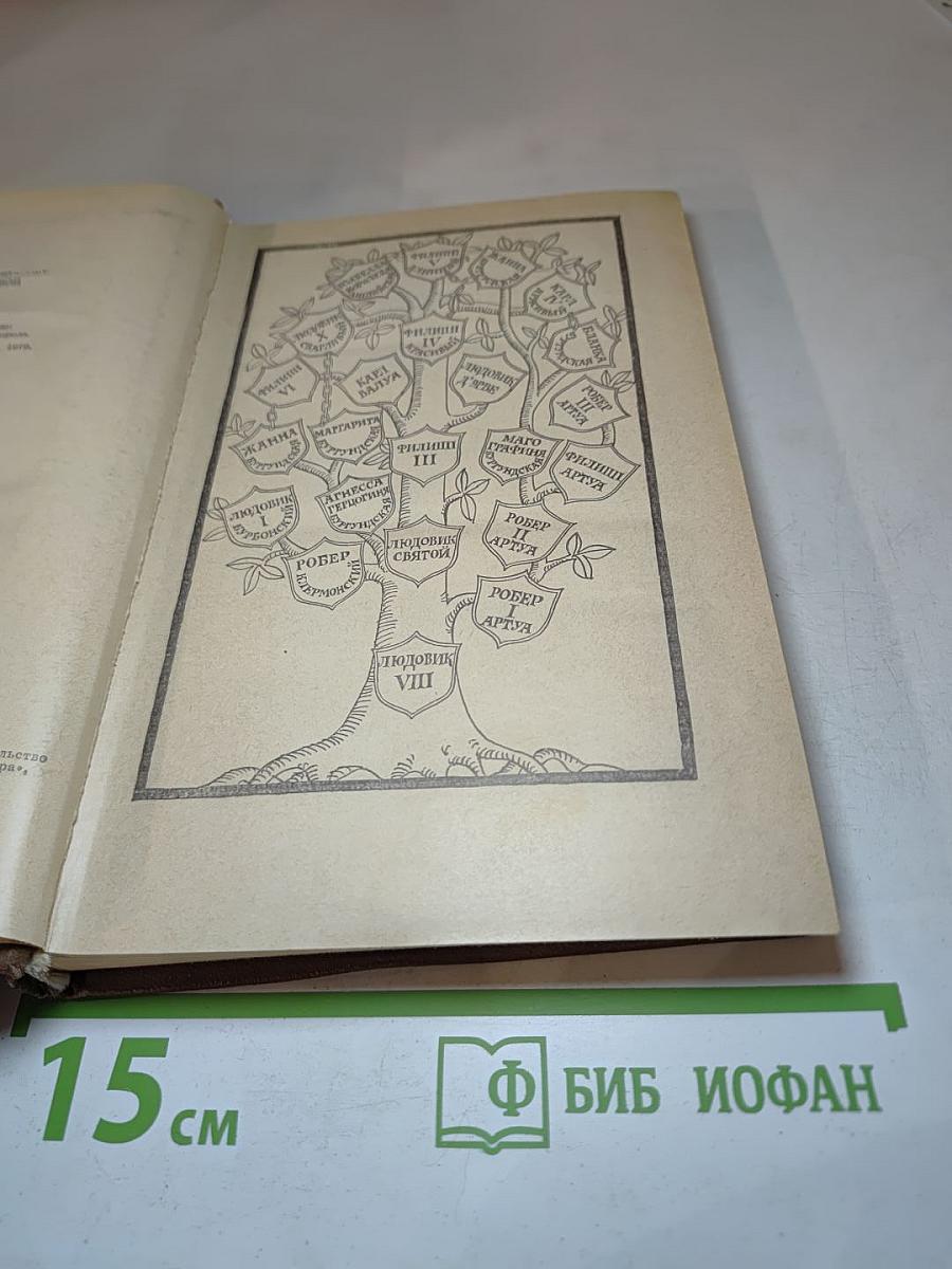 Железный Король. Узница Шато-Гайара