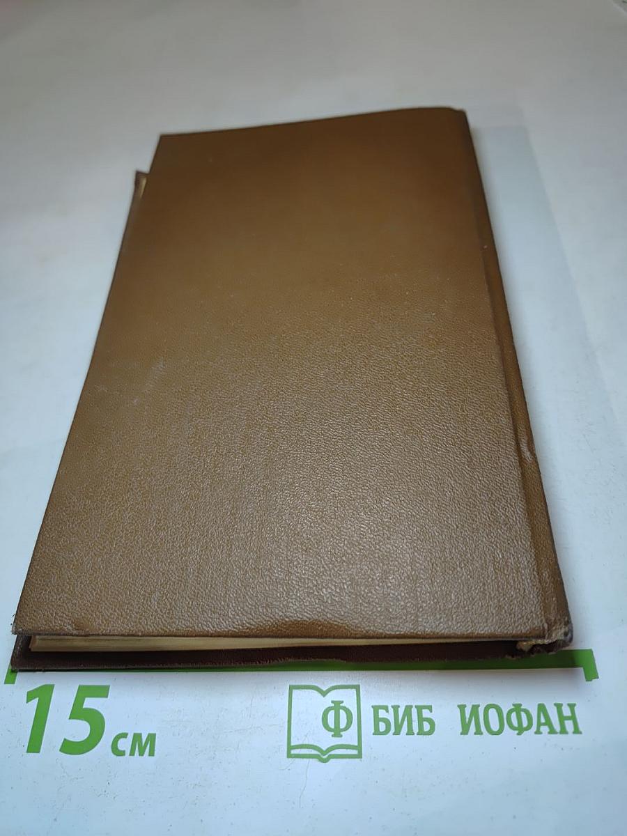 Железный Король. Узница Шато-Гайара