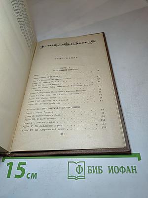 Железный Король. Узница Шато-Гайара
