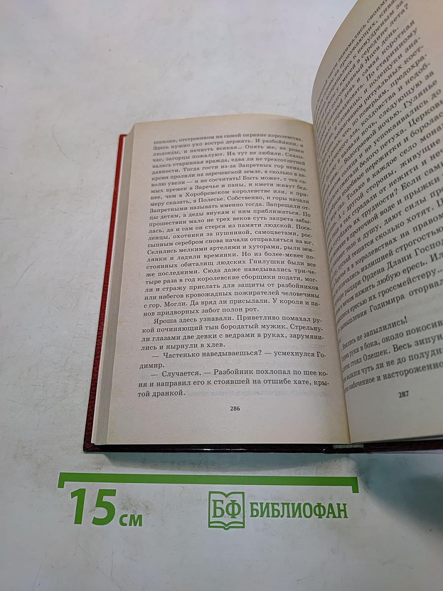 Победитель драконов. Пасынок судьбы