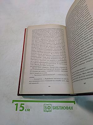 Победитель драконов. Пасынок судьбы