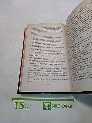 Победитель драконов. Пасынок судьбы