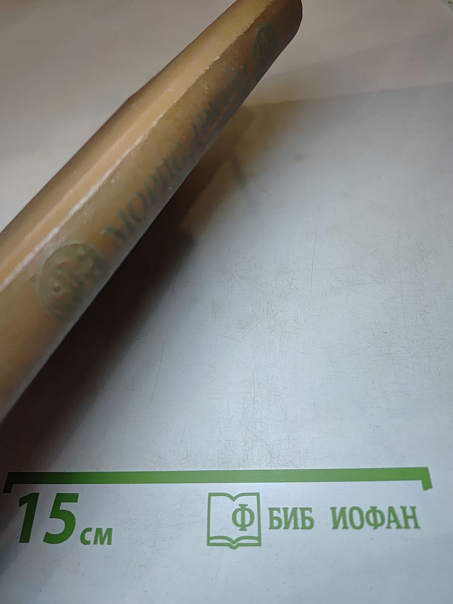 Железный Король. Узница Шато-Гайара