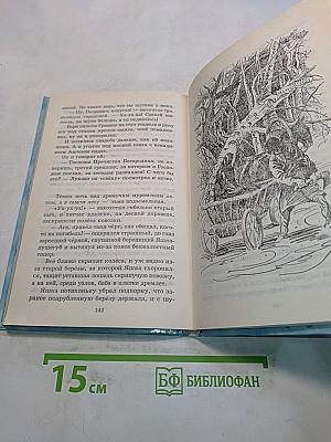 Нечаянная радость