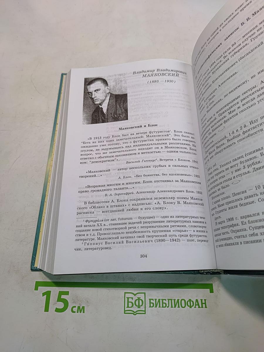 Литература. Русская классика. 9 класс. Часть 1. Учебник-практикум