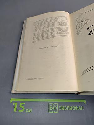 Земной поклон