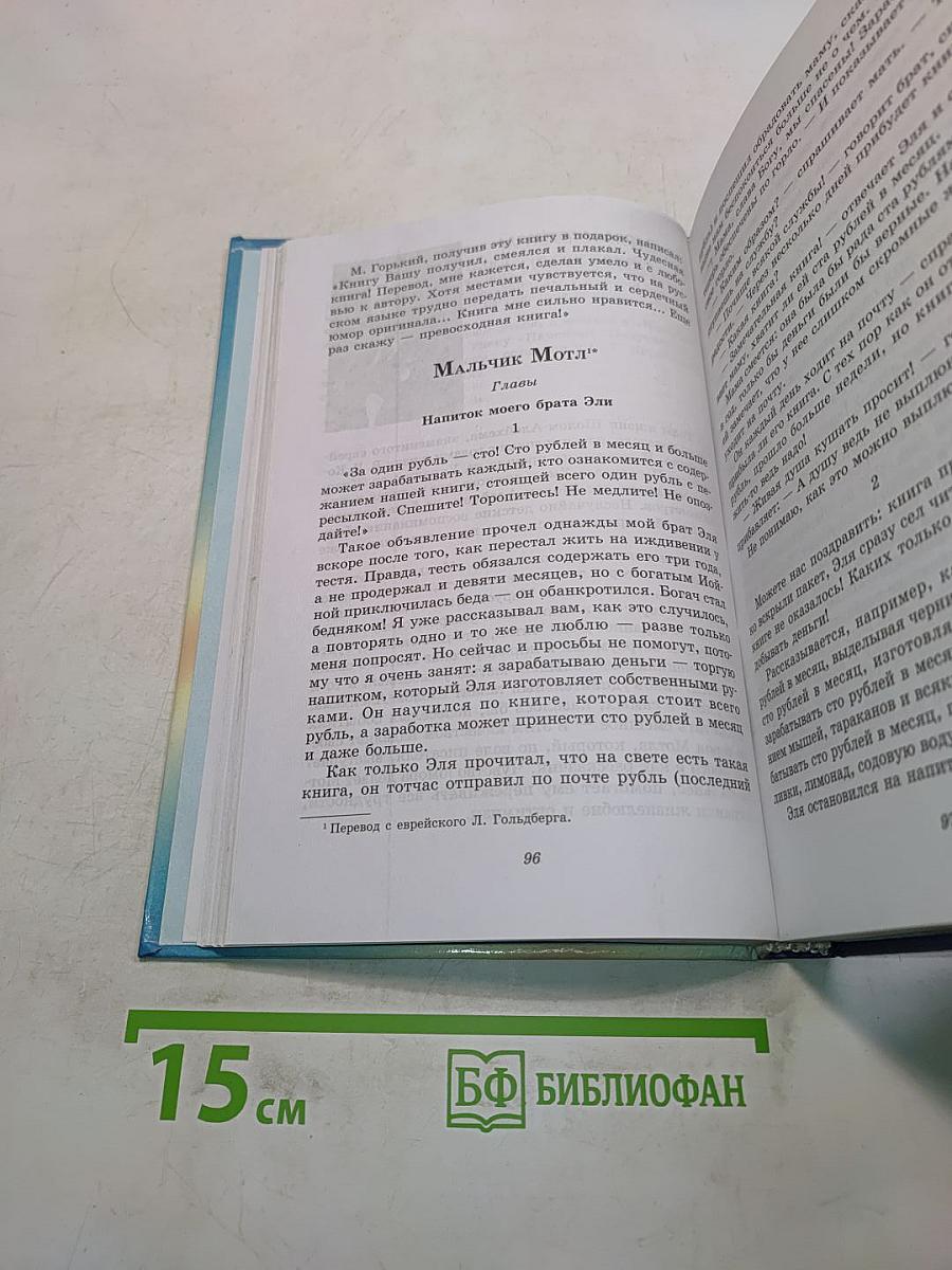 Литература. Начальный курс. Учебник-хрестоматия для общеобразовательных учреждений. В двух частях. Часть 2. 6 класс