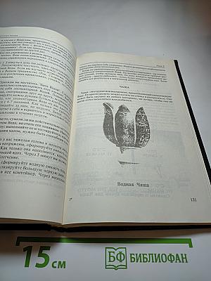 Современная Магия. Одиннадцать уроков высшего магического искусства
