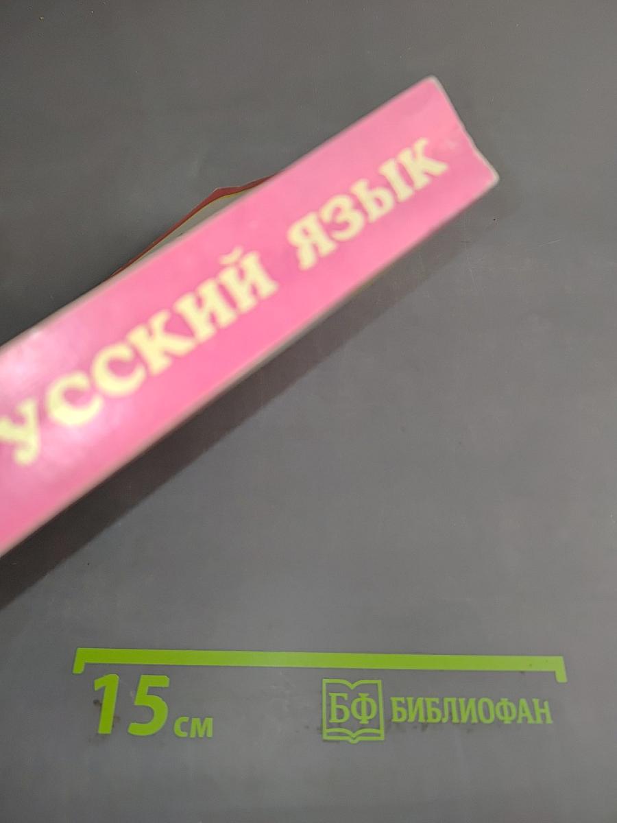 Занимательный русский язык. Нескучный учебник