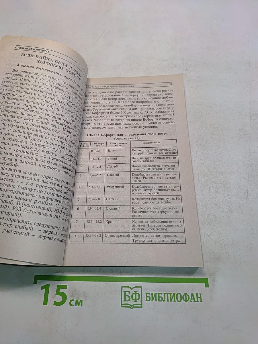 О чем поет кукушка? Наблюдаем за птицами
